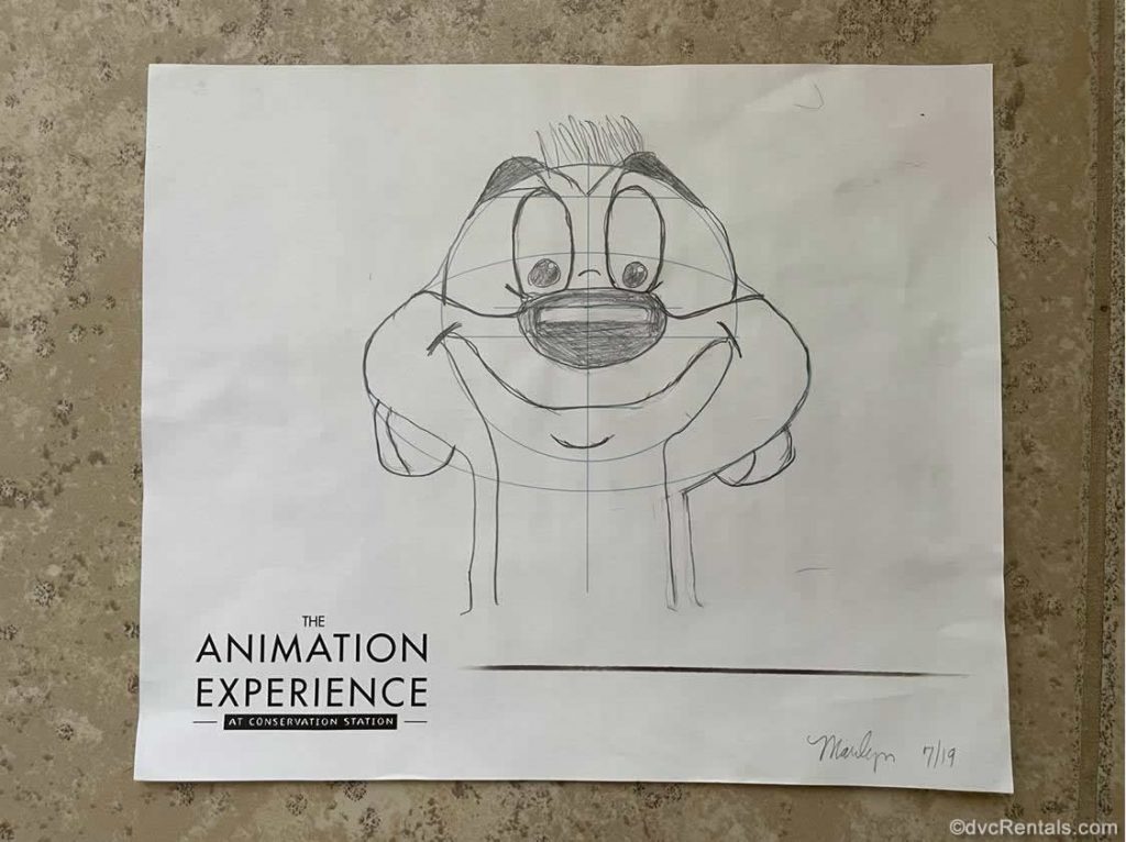 Timon Character sketches from the Animation Experience