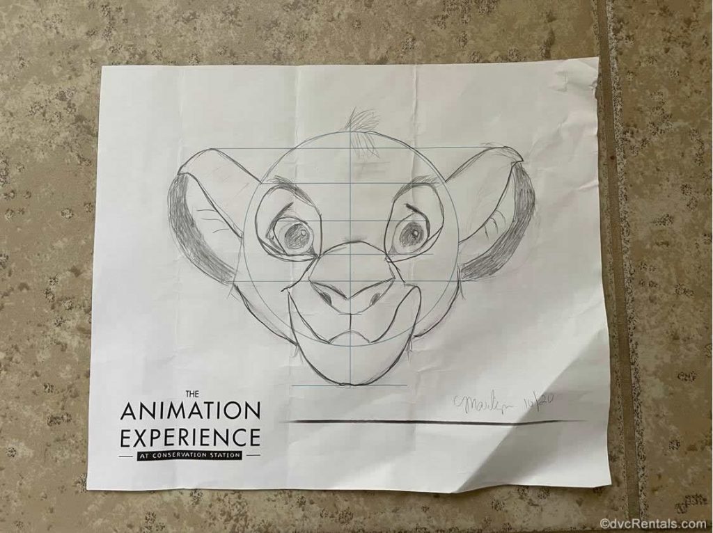 Simba character sketch from the Animation Experience