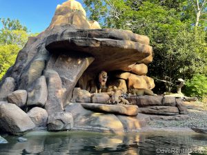 lion scene from the Jungle Cruise at Disney’s Magic Kingdom