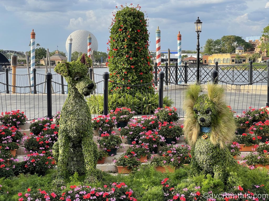 Lady and the Tramp topiaries at the Italy Pavilion in Epcot