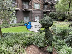 Mickey Mouse topiary at Boulder Ridge Villas at Disney’s Wilderness Lodge