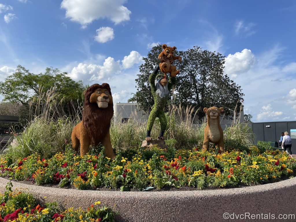 The Lion King topiaries from the Epcot International Flower & Garden Festival