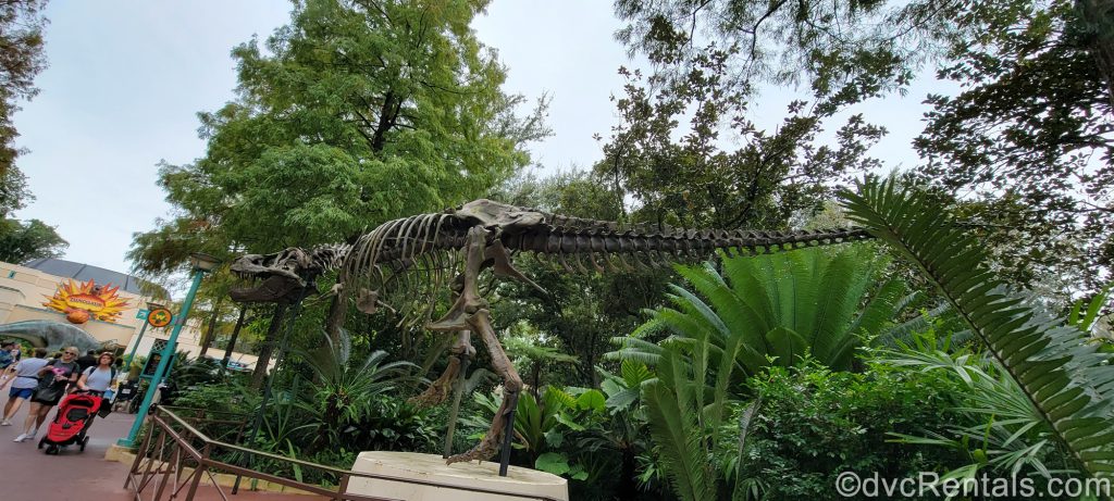 Dinosaur at Disney’s Animal Kingdom Theme park