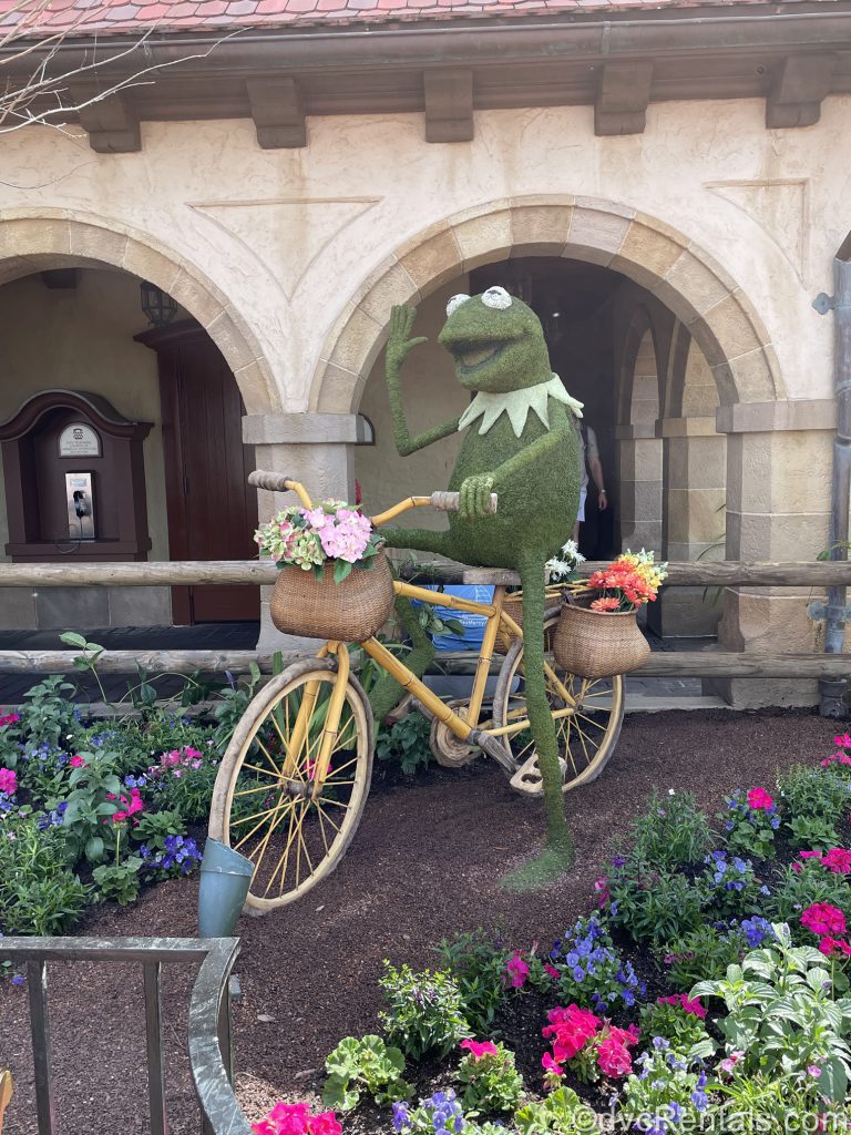 Kermit the Frog topiary from the Epcot International Flower & Garden Festival