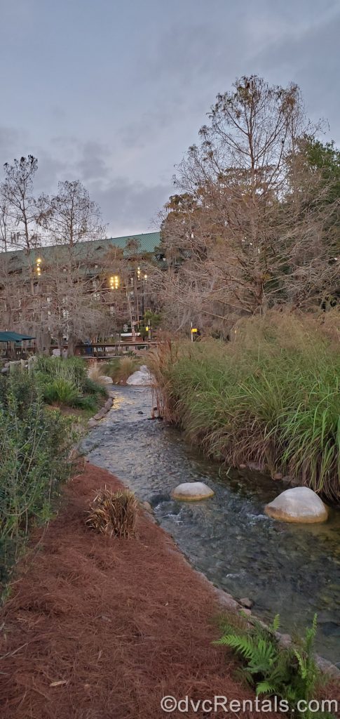 Landscaping at Boulder Ridge Villas & Cabins at Disney’s Wilderness Lodge