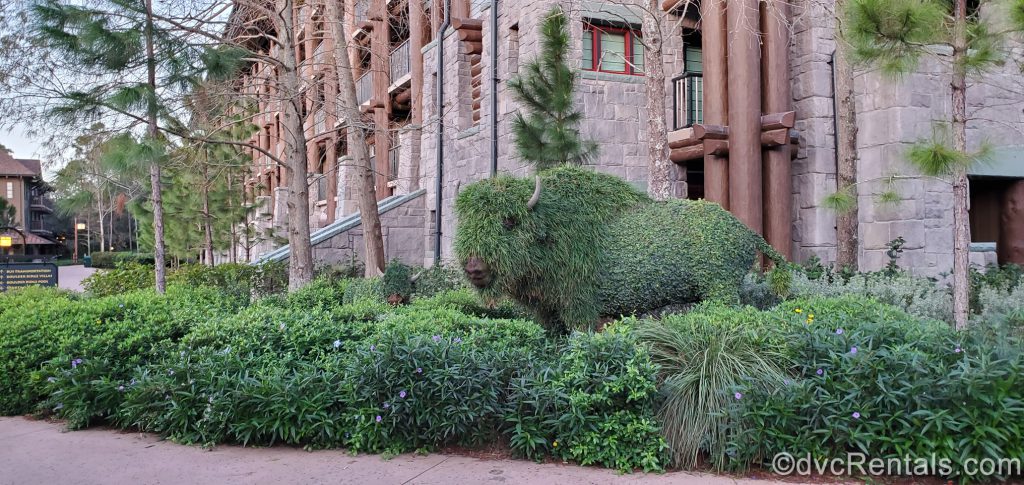 Landscaping at Copper Creek Villas & Cabins at Disney’s Wilderness Lodge
