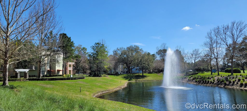 Grounds at Disney’s Saratoga Springs Resort & Spa