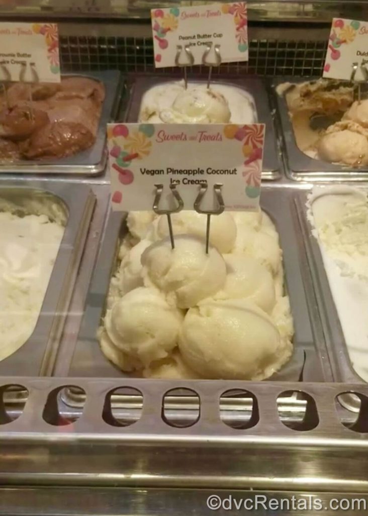 vegan ice cream on the Disney Dream