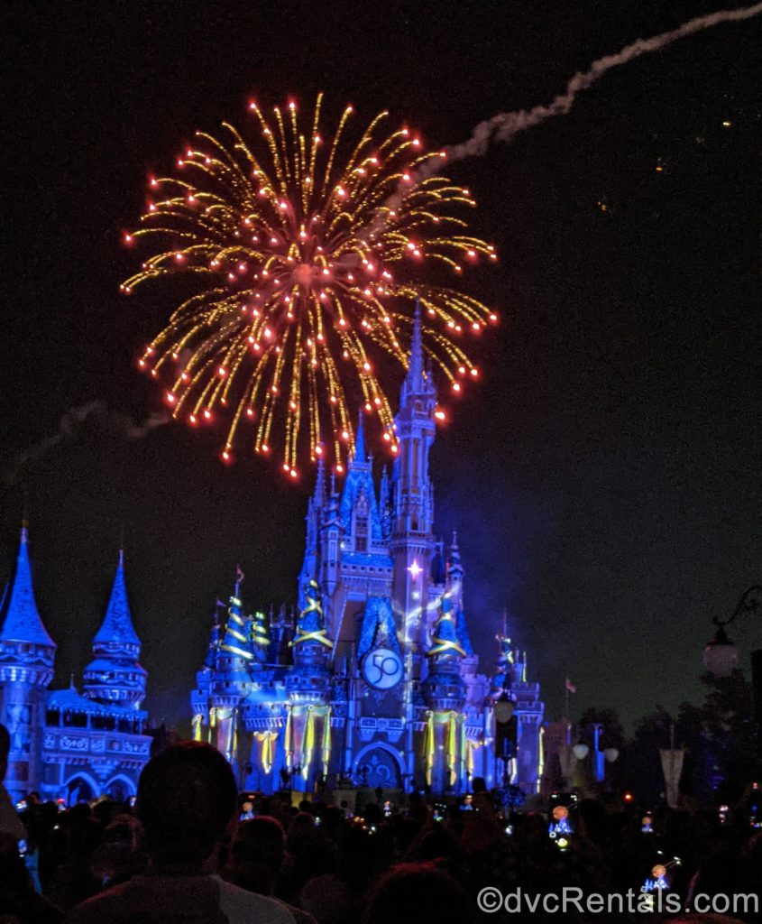 fireworks at the Magic Kingdom