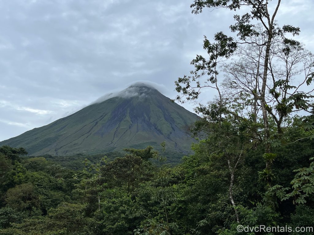 Volcano in the Rainforest
