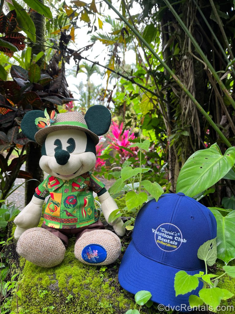 Mickey mouse Plush and DVCR Hat sitting in the forest