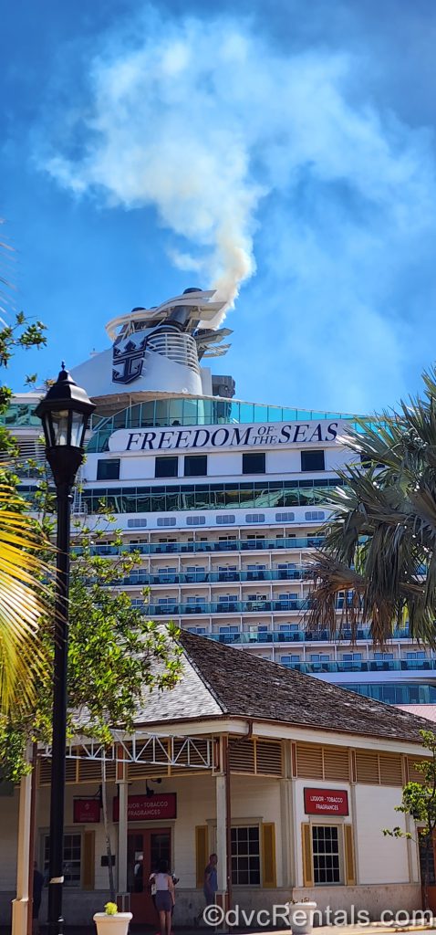 Exterior of the Freedom of the Seas