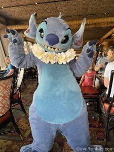 Stitch