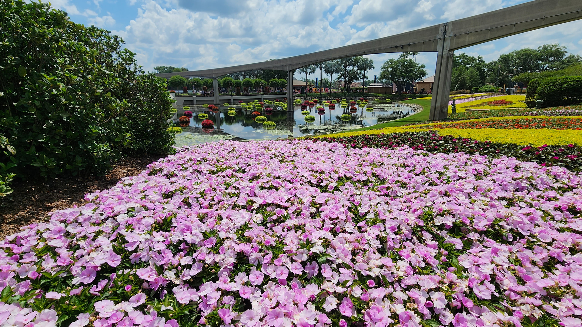 Flowers at Epcot Flower and Garden Festival