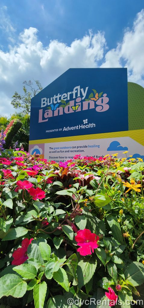 Butterfly Landing Sign with flowers
