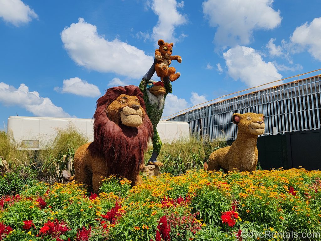 Lion King Topiary