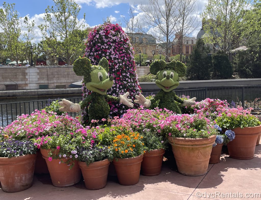 Mickey and Minnie Topiary