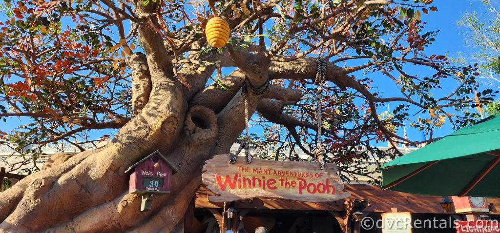 The Sign for The Many Adventures of Winnie the Pooh hanging in a tree.