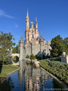 Side of Cinderella Castle with the moat in the middle of the photo and bushes on either side of the moat.