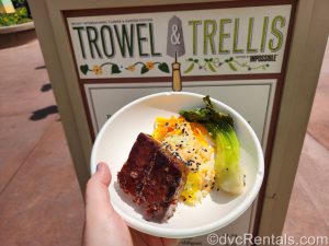 IMPOSSIBLE Korean Short Rib at the Trowel & Trellis booth in Epcot.