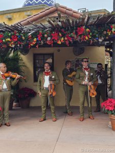 Mariachi Band getting ready to perform, standing under a floral awning.