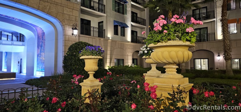 Floral Arrangements in large flower pots sitting in front of Disney's Riviera Resort at night.