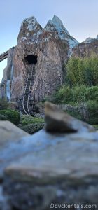 The Mountain at Expedition Everest.