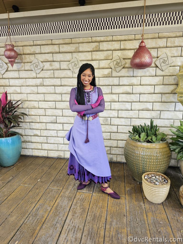 Asha from Disney's Wish standing in front of a faux-brick wall.