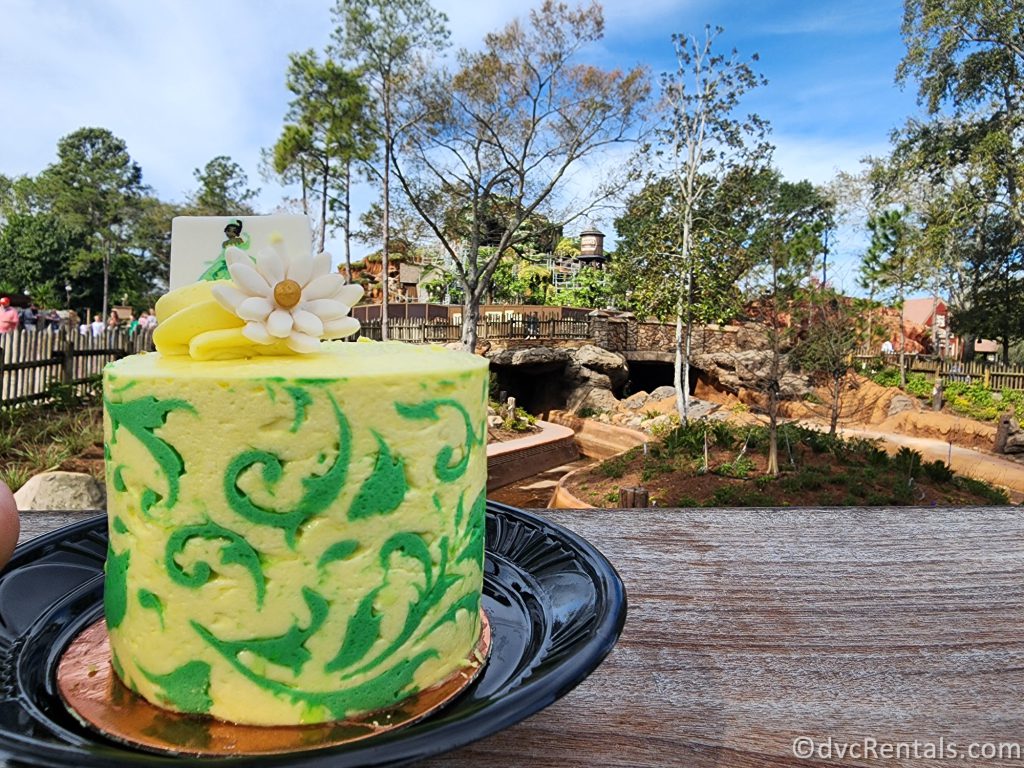 Tiana-themed caked in front of the construction at Tiana's Bayou Adventure in Magic Kingdom.