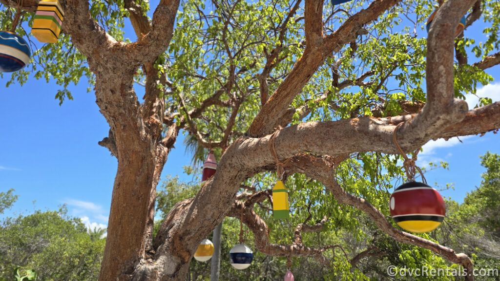 Tree on Lookout Cay with Mickey and friends themed baubles hanging in from the branches.