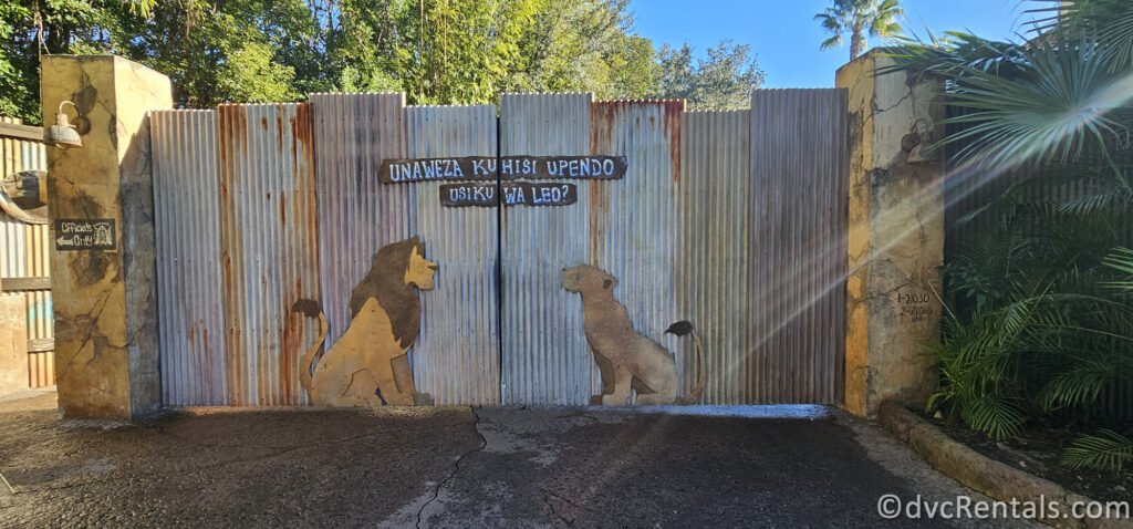 Mural of Simba and Nala on a slat gate in Disney's Animal Kingdom Park.