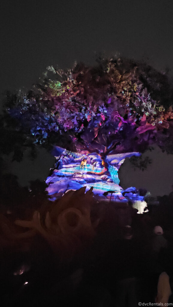 Projections on the Tree of Life at Disney's Animal Kingdom Park of animals frolicking in the snow.