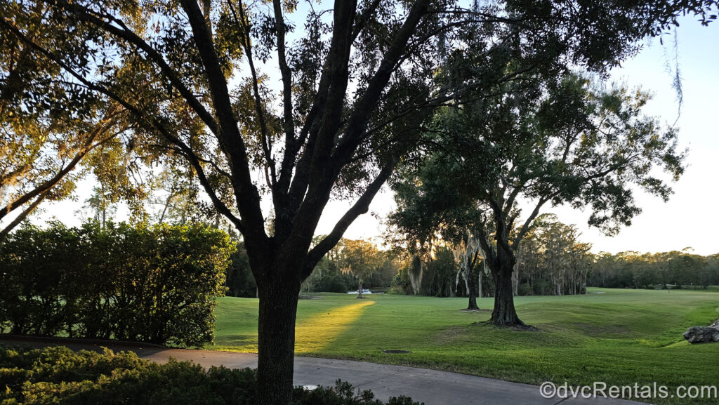 Green golf grounds with light frost and early morning sunshine at Disney’s Saratoga Springs Resort & Spa.