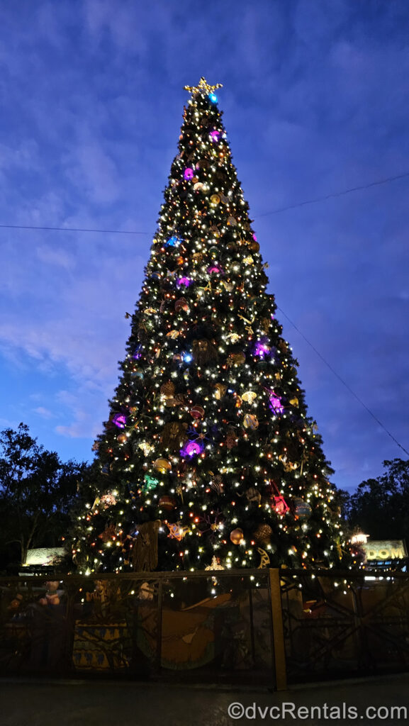 A giant Christmas tree decorated with multicolored animal and African inspired ornaments and lights sparkles under a twilight sky at Disney’s Animal Kingdom Park.