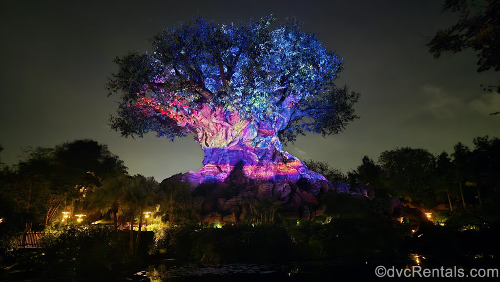 Multicolored, wintery projections display on the Tree of Life at Disney’s Animal Kingdom Park at night.