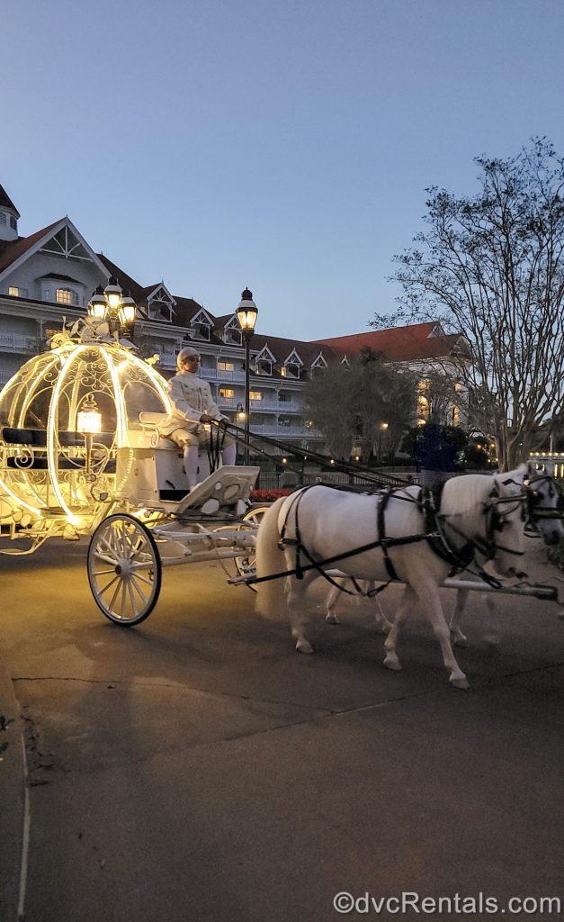 A warmly lit replica of Cinderella’s carriage lead by 2 white horses moves down a pathway at Disney’s Grand Floridian Resort & Spa at dusk.