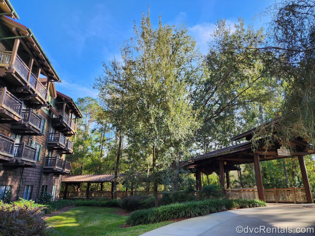 Tall green trees stand above the covered wooden walkway to the Boulder Ridge Villas at Disney’s Wilderness Lodge under a sunny sky, On the left is the log cabin-inspired building exterior.
