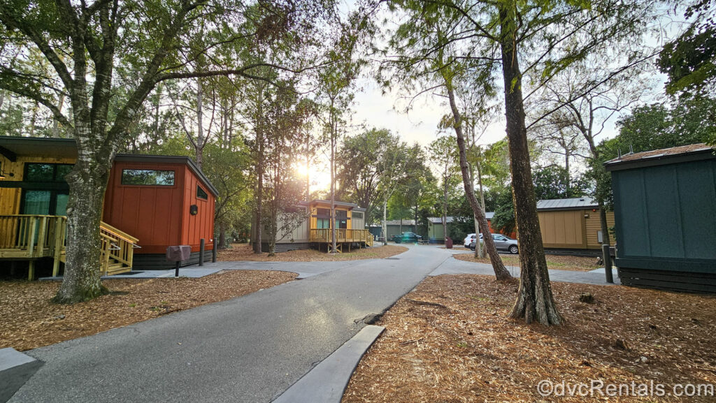 A road winds between the DVC Cabins and pine forest around the grounds at Disney’s Fort Wilderness Resort as the sun rises in the distance.
