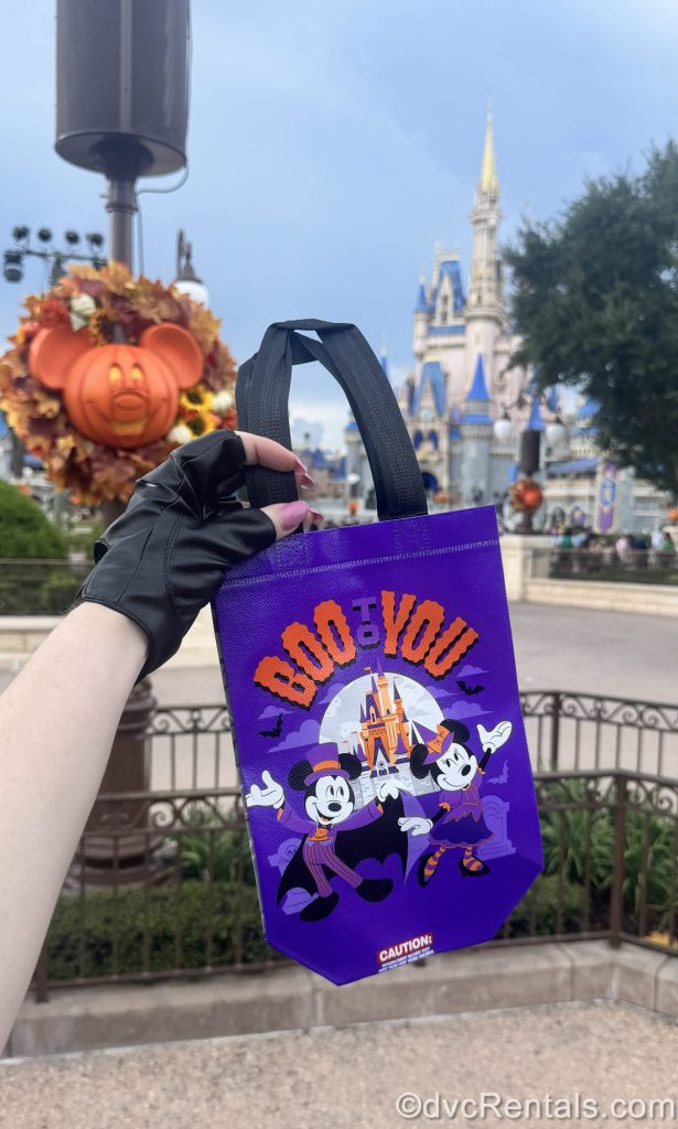 A hand holds up a trick-or-treat bag in front of Cinderella Castle. The bag is purple with drawings of Mickey and Minnie in costumes in front of the castle and reads “Boo to You” in orange and purple writing.