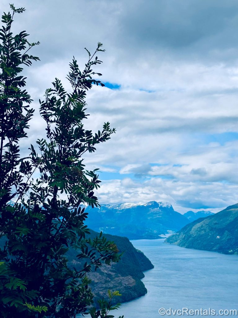 The Nordfjord, green foliage, and snow-topped mountains are seen under a cloudy yet blue sky in Norway.