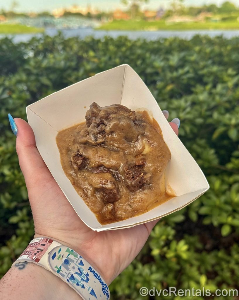 A serving of Boeuf Bourguignon is held up in front of World Showcase Lagoon at EPCOT.