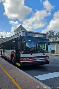 A red and white Disney Bus heading to Hollywood Studios pulls up to a stop at Disney’s Saratoga Springs Resort & Spa.