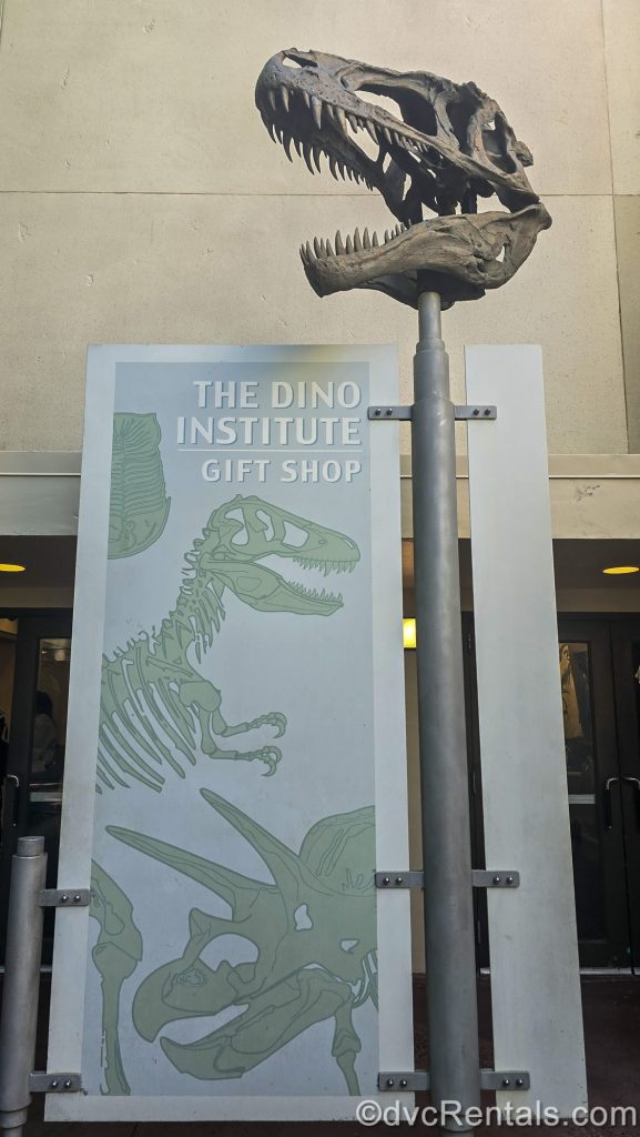 A fossilized dinosaur skull is fixed on top of a pole holding a light blue and green sign for The Dino Institute Gift Shop, which also has drawings of dinosaurs on it.