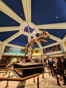 A huge dinosaur skeleton fossil display is seen in the center of a room displaying artwork of the history of dino life and extinction. Guests view the impressive display as they queue for the DINOSAUR attraction.