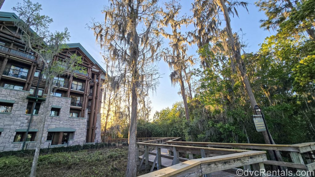 The golden hour sun shines through the wooded landscaping along the pedestrian pathways outside Disney’s Wilderness Lodge.