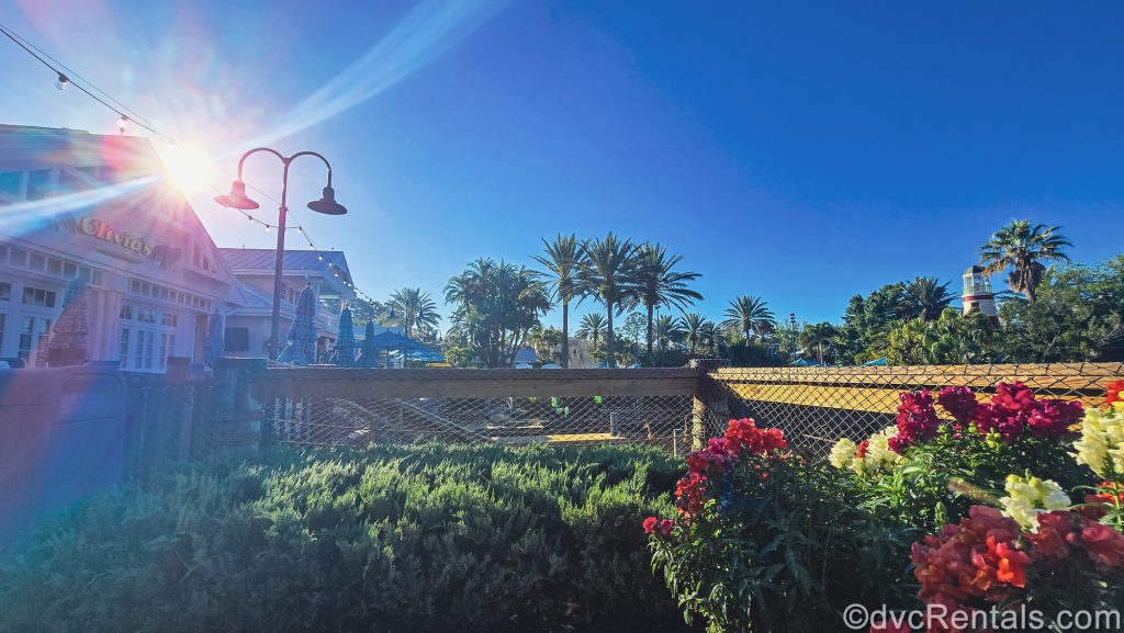 Olivia’s Café, resort landscaping and flowers, and the lighthouse-themed dry sauna are all seen under a sunny, blue sky at Disney’s Old Key West Resort