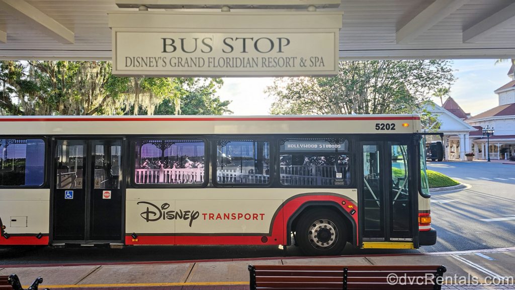 A white and red Disney Transport bus heading to Hollywood Studios Theme Park sits at the bus stop at Disney’s Grand Floridian Resort & Spa.