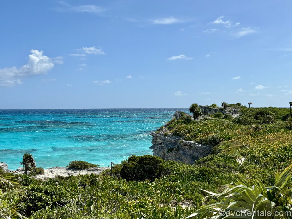 Beautiful blue ocean waves are seen from the land’s edge at Disney Lookout Cay at Lighthouse Point under a bright sunny sky.