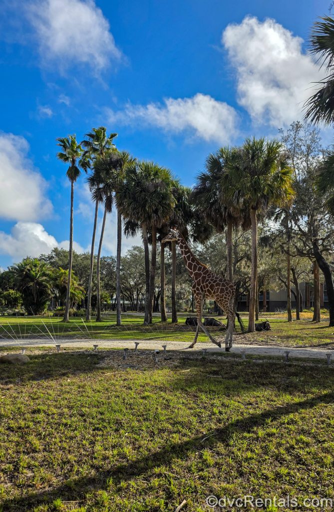 A giraffe wanders the savanna under a sunny sky, surrounded by green vegetation at Disney’s Animal Kingdom Villas Kidani Village.