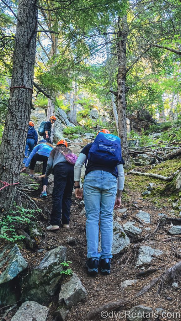 Adventure Hike participants in Skagway, Alaska climb over rocks along the trail through the Tongass National Forest during an excursion.